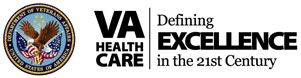 VA Excellence Logo